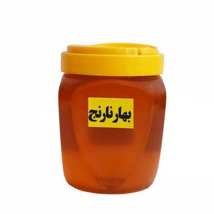 عسل بهار نارنج ارگانیک (یک کیلو)